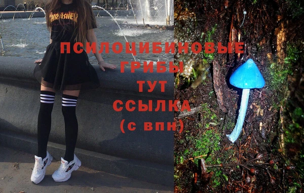 герыч Козловка