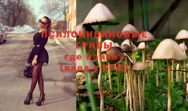 твердый Кодинск