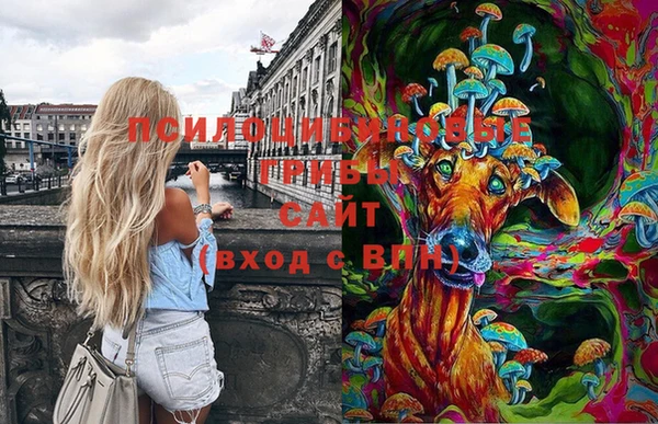 скорость Сафоново
