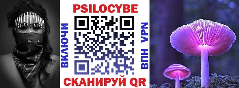 Галлюциногенные грибы Psilocybe  Суровикино 