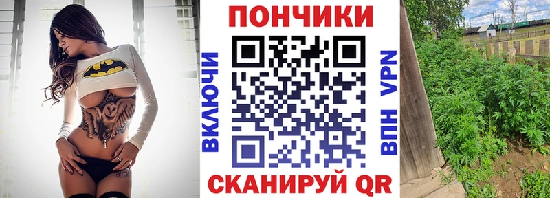 продажа наркотиков Суровикино Конопля гибрид